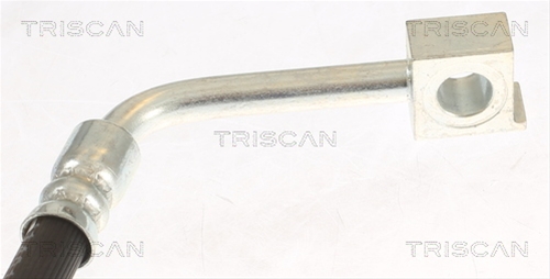 FURTUN FRANA