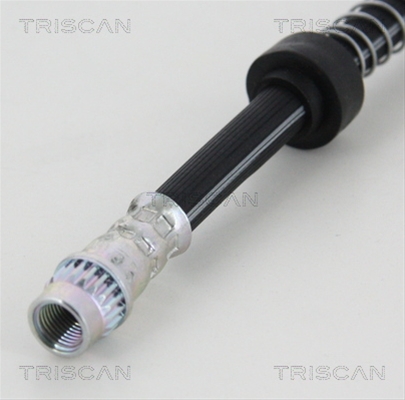 FURTUN FRANA