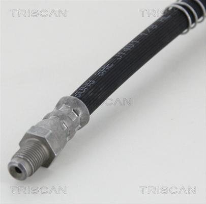 FURTUN FRANA