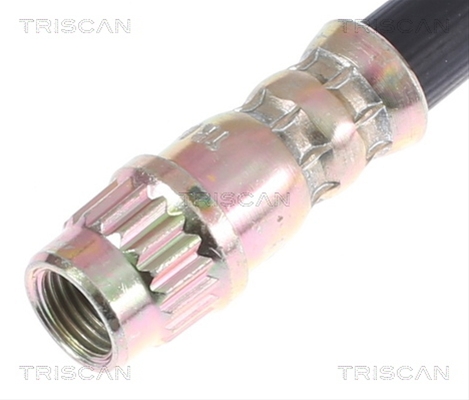 FURTUN FRANA