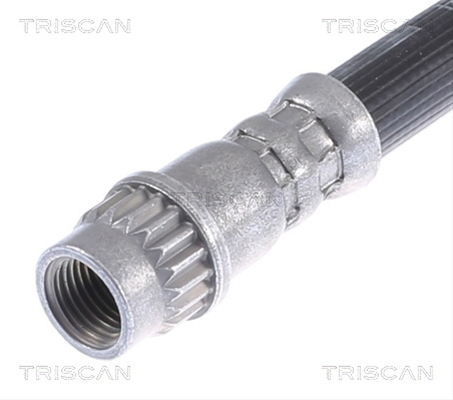 FURTUN FRANA