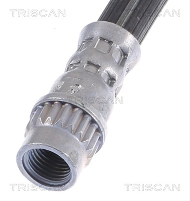 FURTUN FRANA
