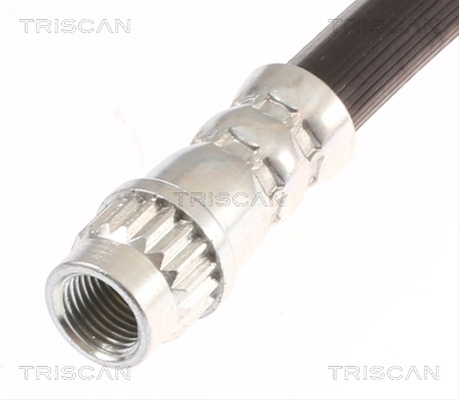 FURTUN FRANA