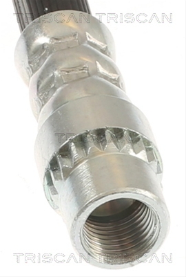 FURTUN FRANA