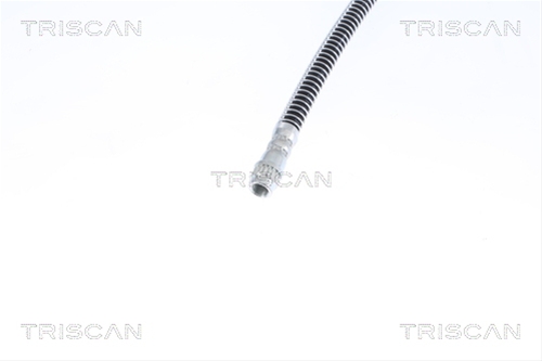 FURTUN FRANA