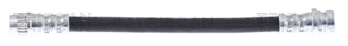 FURTUN FRANA