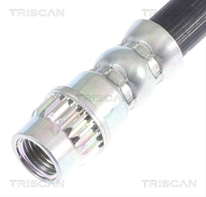 FURTUN FRANA