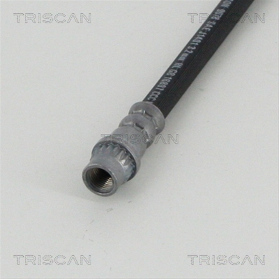 FURTUN FRANA