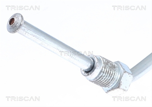 FURTUN FRANA
