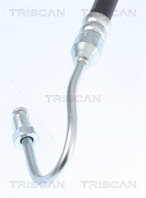 FURTUN FRANA