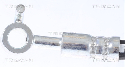 FURTUN FRANA