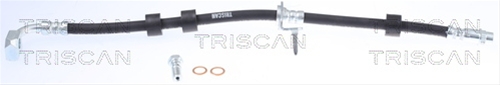 FURTUN FRANA