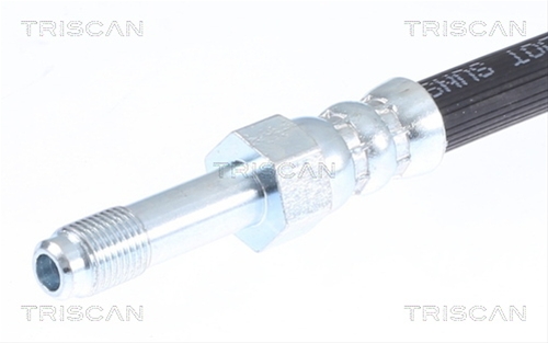 FURTUN FRANA