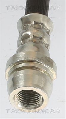 FURTUN FRANA