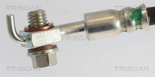 FURTUN FRANA