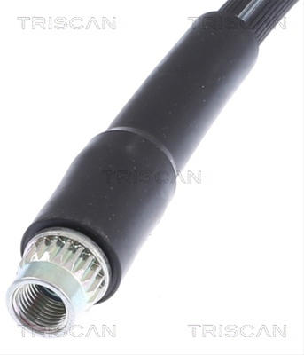 FURTUN FRANA