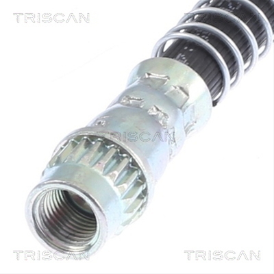 FURTUN FRANA