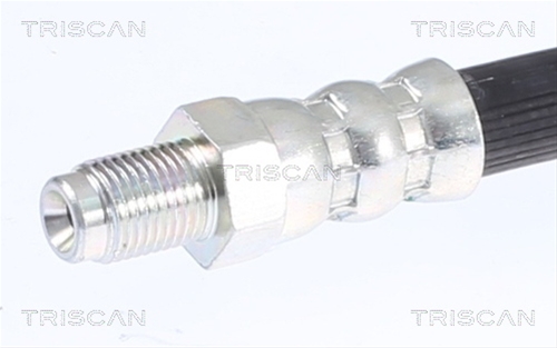 FURTUN FRANA