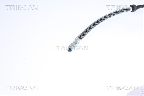 FURTUN FRANA