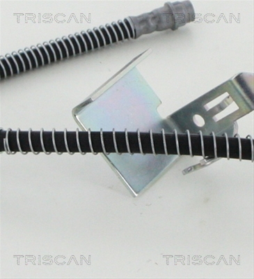 FURTUN FRANA