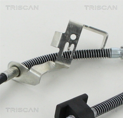 FURTUN FRANA