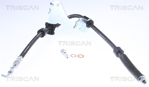 FURTUN FRANA TRISCAN CSNBB