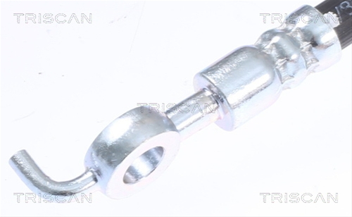 FURTUN FRANA TRISCAN CSNBB