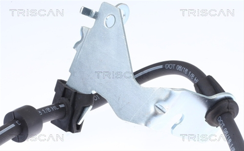 FURTUN FRANA TRISCAN CSNBB