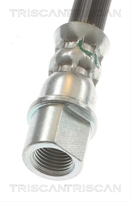 FURTUN FRANA TRISCAN CSNBB