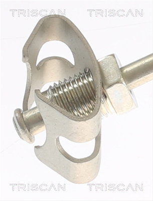 FURTUN FRANA