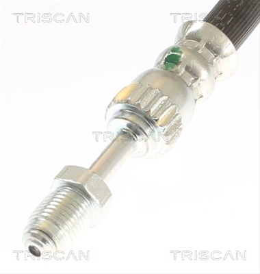 FURTUN FRANA