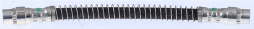 FURTUN FRANA