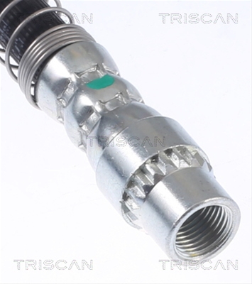 FURTUN FRANA