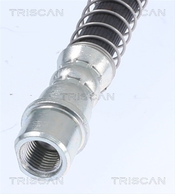 FURTUN FRANA