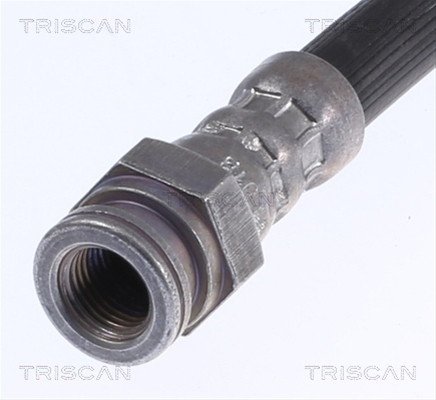 FURTUN FRANA