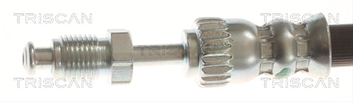 FURTUN FRANA