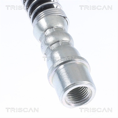 FURTUN FRANA