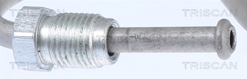 FURTUN FRANA
