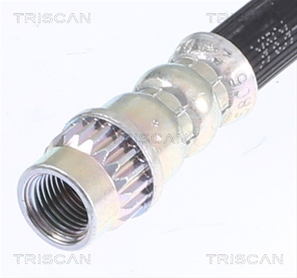 FURTUN FRANA
