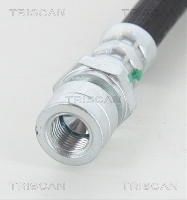 FURTUN FRANA