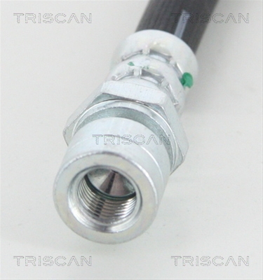 FURTUN FRANA