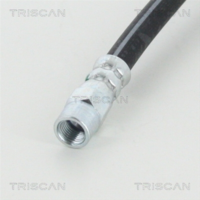 FURTUN FRANA