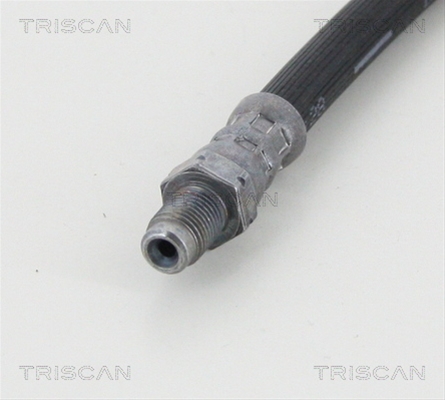 FURTUN FRANA