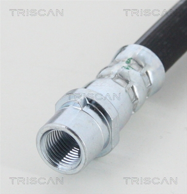 FURTUN FRANA