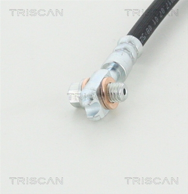 FURTUN FRANA