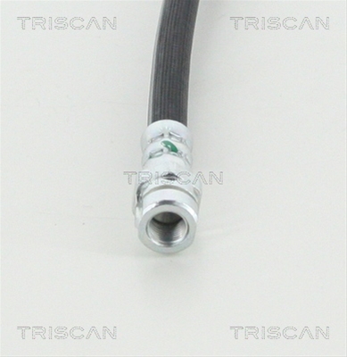 FURTUN FRANA