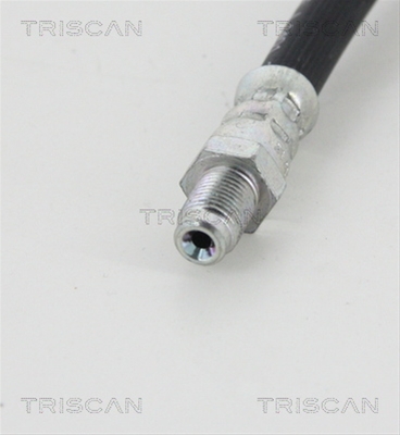 FURTUN FRANA