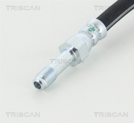 FURTUN FRANA
