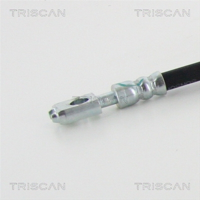 FURTUN FRANA