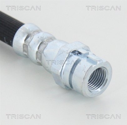 FURTUN FRANA